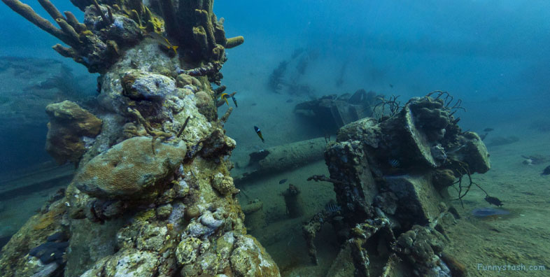Antilla Shipwreck 1939 WWII Uboat Repair Vehicle Aruba Vr 360 1