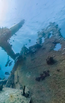 Antilla Shipwreck 1939 WWII Uboat Repair Vehicle Aruba Vr 360 tmb13