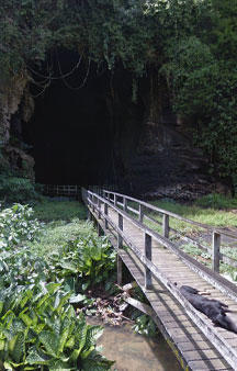 Batcave Malaysia Gomantong Cave Tourism VR tmb1