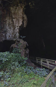 Batcave Malaysia Gomantong Cave Tourism VR tmb2