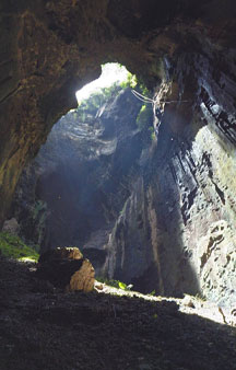 Batcave Malaysia Gomantong Cave Tourism VR tmb4