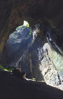 Batcave Malaysia Gomantong Cave Tourism VR tmb5