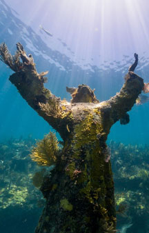 Statues Underwater Art Cancun Musa Ocean Find Gps Locations tmb3