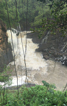 Venezuela Falls Salto Llovizna Scenery tmb3