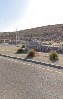 World Largest Roadside Snake VR New Mexico tmb1