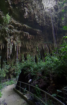 3rd Largest Underground Cave River Camuy Adventure VR Panorama Locations tmb10