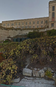 Alcatraz Prisoner Gardens 2013 VR Alcatraz Island tmb37
