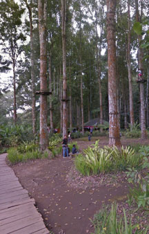 Bali Treetop Adventure Park Tree Houses Indonesia VR Tourism Locations tmb11