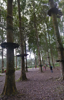 Bali Treetop Adventure Park Tree Houses Indonesia VR Tourism Locations tmb17