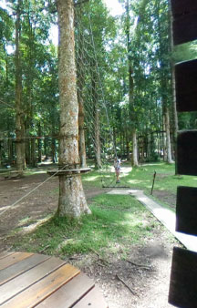 Bali Treetop Adventure Park Tree Houses Indonesia VR Tourism Locations tmb4