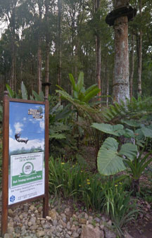 Bali Treetop Adventure Park Tree Houses Indonesia VR Tourism Locations tmb9