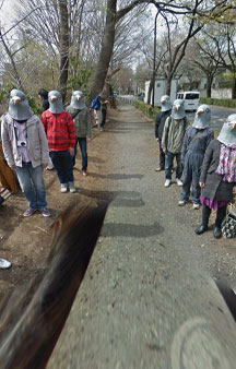 Bird Pigeon People Of Japan VR Map Places tmb2