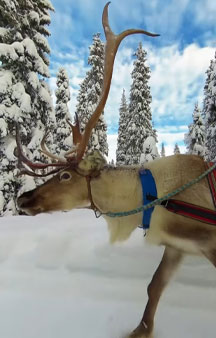 Christmas Day Wonderland Finland Tourism VR Map Links tmb1