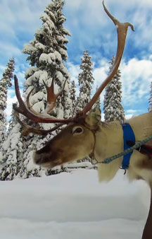 Christmas Day Wonderland Finland Tourism VR Map Links tmb16