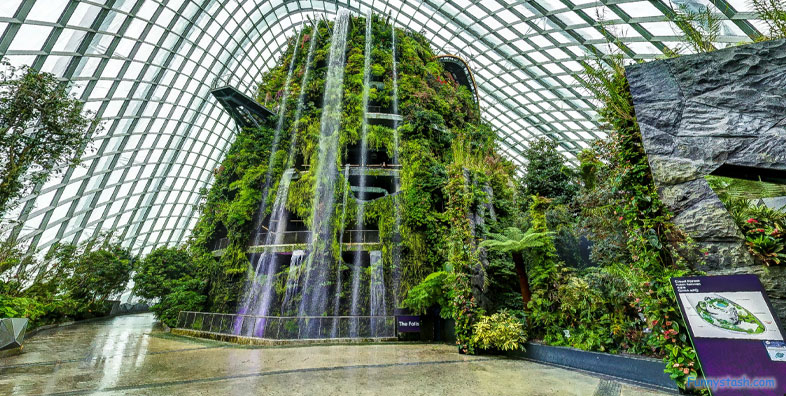 City Scape Cloud Forest Singapore Botanical Garden Greenhouse VR Tourism Locations 1