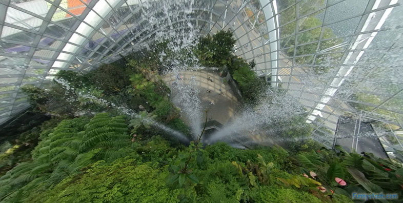 City Scape Cloud Forest Singapore Botanical Garden Greenhouse VR Tourism Locations 2