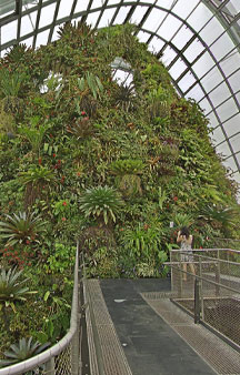 City Scape Cloud Forest Singapore Botanical Garden Greenhouse VR Tourism Locations tmb1