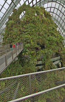 City Scape Cloud Forest Singapore Botanical Garden Greenhouse VR Tourism Locations tmb2