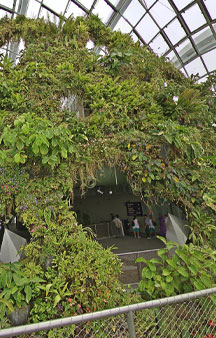 City Scape Cloud Forest Singapore Botanical Garden Greenhouse VR Tourism Locations tmb3