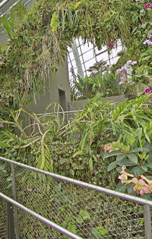 City Scape Cloud Forest Singapore Botanical Garden Greenhouse VR Tourism Locations tmb4