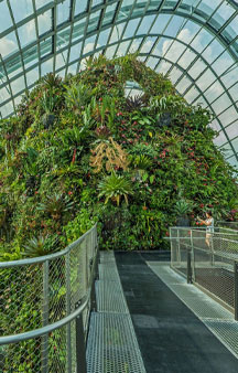 City Scape Cloud Forest Singapore Botanical Garden Greenhouse VR Tourism Locations tmb5