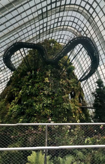 City Scape Cloud Forest Singapore Botanical Garden Greenhouse VR Tourism Locations tmb6