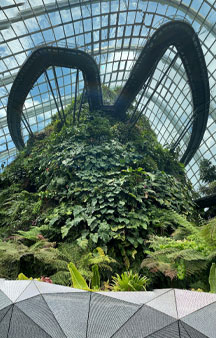 City Scape Cloud Forest Singapore Botanical Garden Greenhouse VR Tourism Locations tmb8