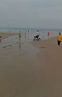 Clam Mussel Digging Annual Summer VR Event Taiwan Beach Kinmen Island tmb2