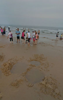 Clam Mussel Digging Annual Summer VR Event Taiwan Beach Kinmen Island tmb5