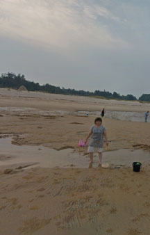 Clam Mussel Digging Annual Summer VR Event Taiwan Beach Kinmen Island tmb9