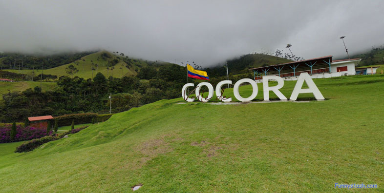 Cocora Valley Forest Cloud Forest Colombia Tourism Locations 1