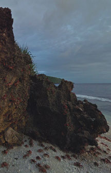 Crab Island Christmas Island Australia Tour Locations tmb11