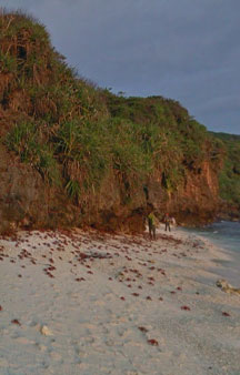 Crab Island Christmas Island Australia Tour Locations tmb12