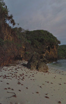 Crab Island Christmas Island Australia Tour Locations tmb9