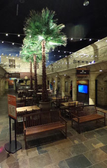Creation Museum Kentucky Bible History VR Map Places tmb5