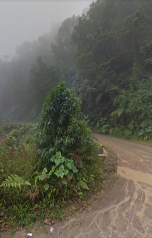 Deadly Death Road Yungas Road Bolivia Travel VR Adventure 360 Links tmb8