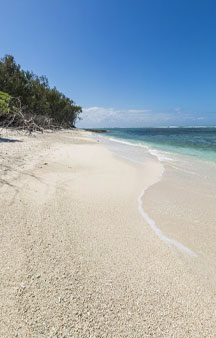 Eco Resort Australia Lady Elliot Island Ocean Areas tmb15