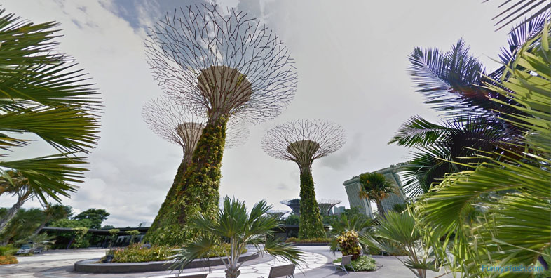 Flower Dome Gigantic Garden Glass Greenhouse Singapore VR Tourism Locations 1