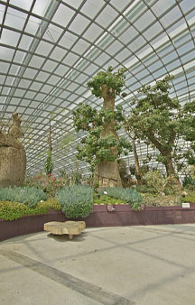 Flower Dome Gigantic Garden Glass Greenhouse Singapore VR Tourism Locations tmb3