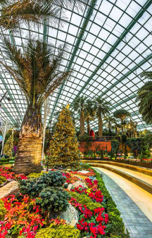Flower Dome Gigantic Garden Glass Greenhouse Singapore VR Tourism Locations tmb4
