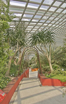 Flower Dome Gigantic Garden Glass Greenhouse Singapore VR Tourism Locations tmb5