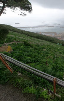 Gibraltar Nature Reserve Tourism VR Links tmb4