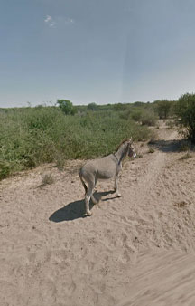 Google Kills Donkey Vr Map Places tmb8