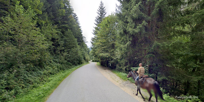Man Horse Dog VR Austria Weird 1