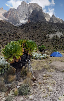 Mount Kenya National Park Tourism tmb2