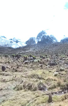 Mount Kenya National Park Tourism tmb3