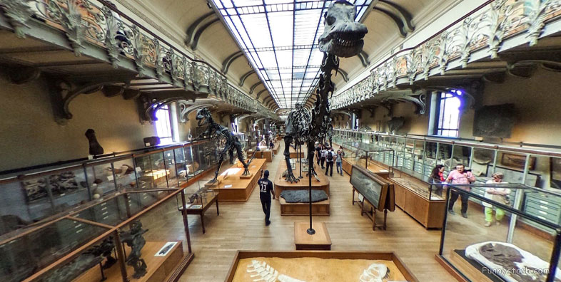 Natural History Dinosaur Museum Paris Educational VR 360 s 1
