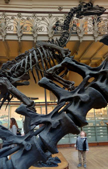Natural History Dinosaur Museum Paris Educational VR 360 s tmb11