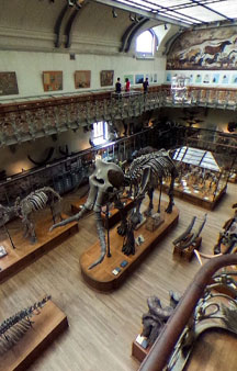 Natural History Dinosaur Museum Paris Educational VR 360 s tmb16
