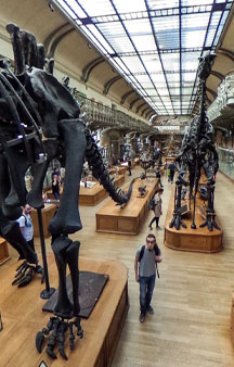 Natural History Dinosaur Museum Paris Educational VR 360 s tmb3